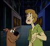 Click image for larger version. 

Name:	Shaggy-High-Resolution-Wallpapers.stillmaza.com-2.jpg 
Views:	26 
Size:	28.2 KB 
ID:	3679