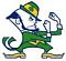 NDHornet