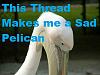 Click image for larger version. 

Name:	526817_sad-pelican.jpg 
Views:	616 
Size:	23.7 KB 
ID:	4387