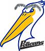 Click image for larger version. 

Name:	NOLA Pelicans.jpg 
Views:	636 
Size:	86.9 KB 
ID:	4502