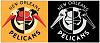 Click image for larger version. 

Name:	new-orleans-pelicans-4.jpg 
Views:	484 
Size:	100.9 KB 
ID:	4546