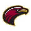 Click image for larger version. 

Name:	warhawk250x250.jpg 
Views:	746 
Size:	28.3 KB 
ID:	4552
