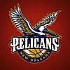 Click image for larger version.&nbsp;

Name:	Pelicans.jpg&nbsp;
Views:	174&nbsp;
Size:	78.6 KB&nbsp;
ID:	4720