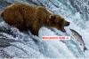 Click image for larger version. 

Name:	midwest.gif 
Views:	391 
Size:	70.3 KB 
ID:	4902