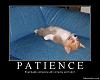 Click image for larger version. 

Name:	2ry6gb2oud.jpg 
Views:	483 
Size:	52.9 KB 
ID:	5251