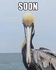 Click image for larger version. 

Name:	3t7lky.jpg 
Views:	187 
Size:	14.6 KB 
ID:	5273