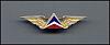 Click image for larger version. 

Name:	w129_delta_pilot_wing_front.jpg 
Views:	109 
Size:	25.6 KB 
ID:	5746
