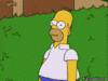Click image for larger version. 

Name:	tZOS8.gif 
Views:	655 
Size:	227.7 KB 
ID:	6439
