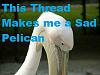 Click image for larger version. 

Name:	526817_sad-pelican.jpg 
Views:	83 
Size:	23.7 KB 
ID:	4387